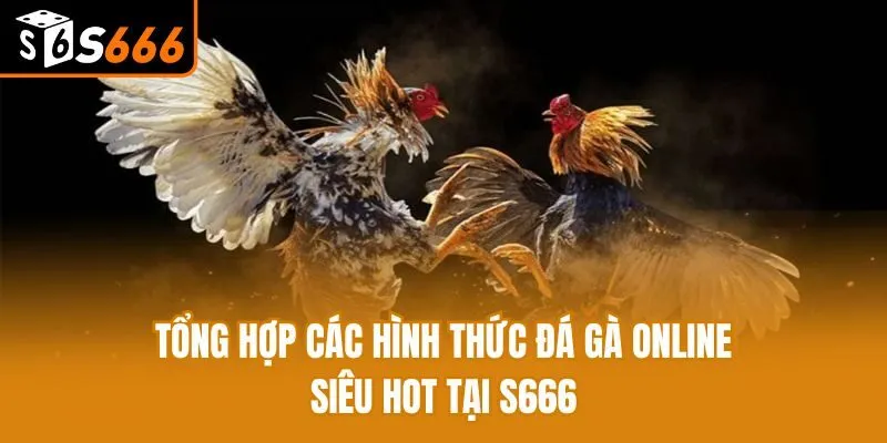 Tổng Hợp Các Hình Thức Đá Gà Online Siêu Hot Tại S666 Tổng Hợp Các Hình Thức Đá Gà Online Siêu Hot Tại S666